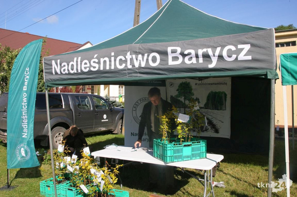 #SADZIMY LAS. Leśnicy rozdawali darmowe drzewka [wideo, zdjęcia]