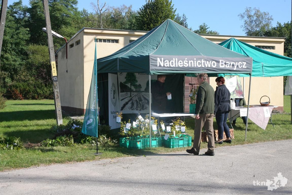 #SADZIMY LAS. Leśnicy rozdawali darmowe drzewka [wideo, zdjęcia]
