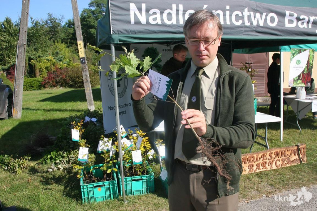 #SADZIMY LAS. Leśnicy rozdawali darmowe drzewka [wideo, zdjęcia]
