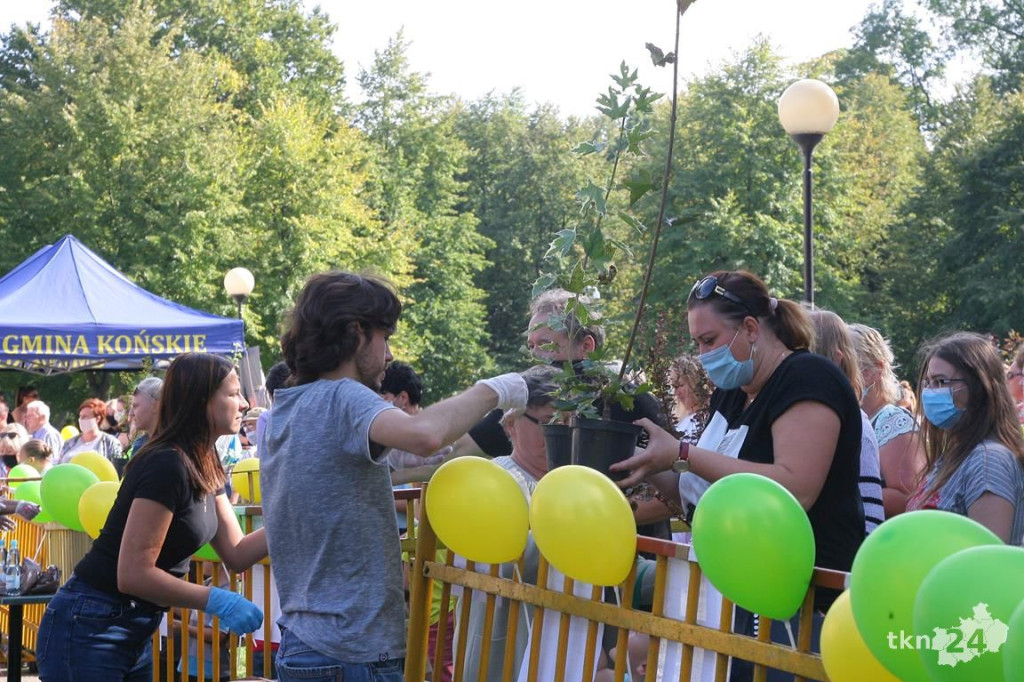 Po raz trzeci drzewko za surowce w Końskich [wideo, zdjęcia]
