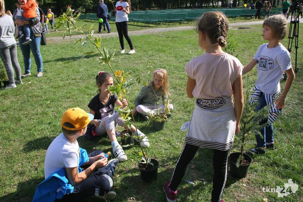 Po raz trzeci drzewko za surowce w Końskich [wideo, zdjęcia]