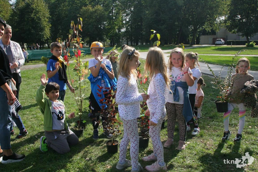Po raz trzeci drzewko za surowce w Końskich [wideo, zdjęcia]