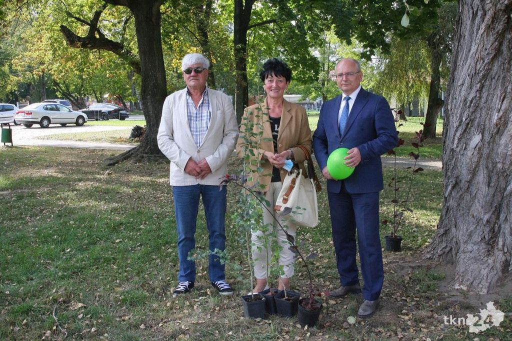 Po raz trzeci drzewko za surowce w Końskich [wideo, zdjęcia]