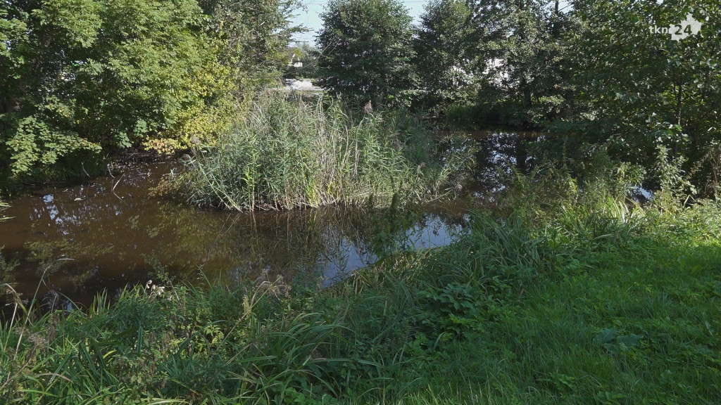 Wiemy co jeszcze powstanie w Fałkowie [wideo, zdjęcia]