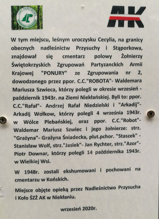Osadzili krzyż w Uroczysku Cecylia by uczcić walczących o Polskę [zdjęcia]