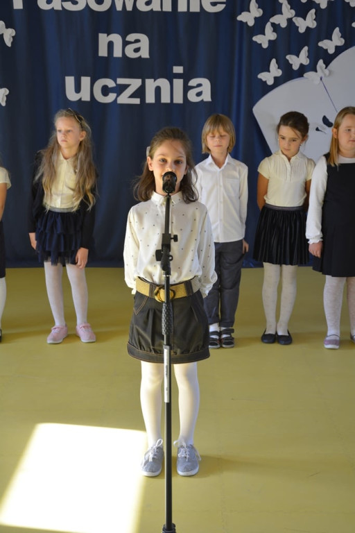 Ślubowanie pierwszoklasistów w Prywatnej Szkole Podstawowej [zdjęcia]