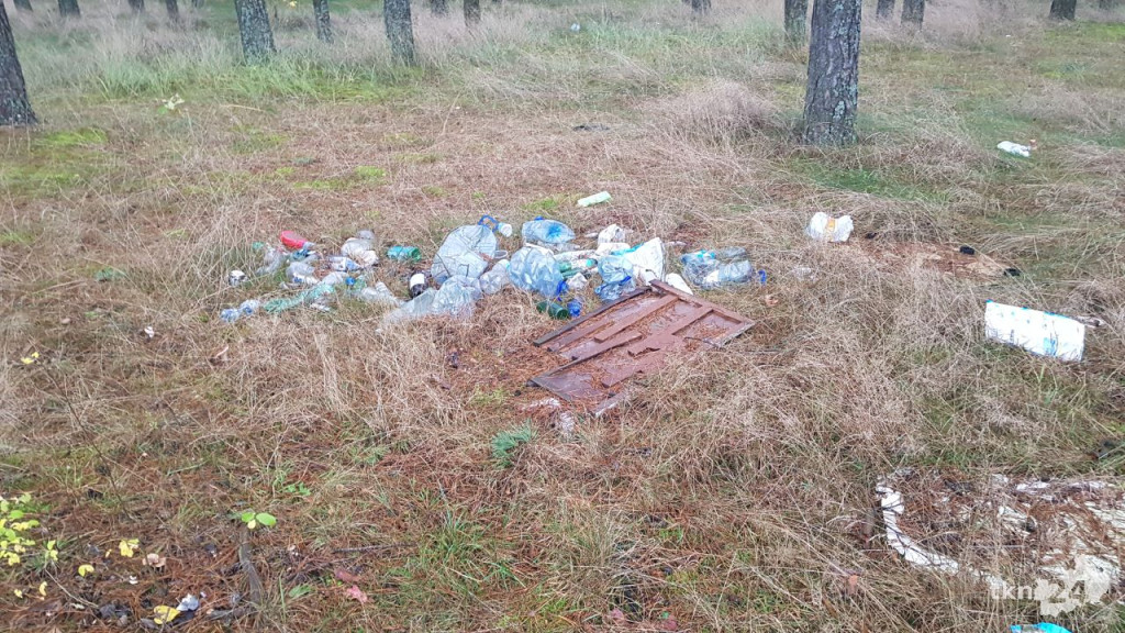Opuszczony pawilon i śmieci w lesie w Sielpi. Kto za to odpowiada? [wideo, zdjęcia]
