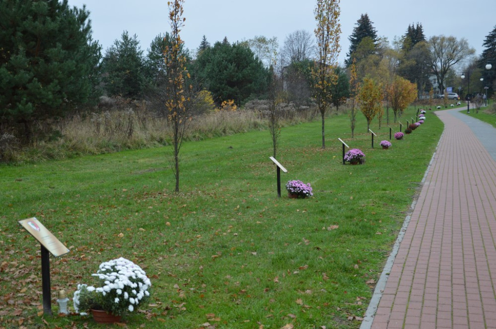 Starostwo uczciło Święto Niepodległości [zdjęcia]