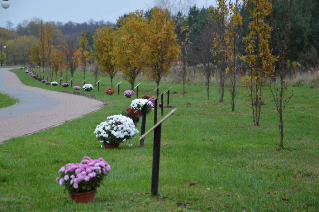 Starostwo uczciło Święto Niepodległości [zdjęcia]