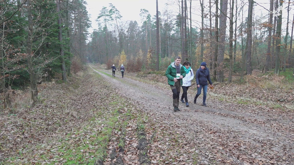 Poznawali Skałki Niekłańskie. Tradycja Niekłaniady podtrzymana! [wideo, zdjęcia]