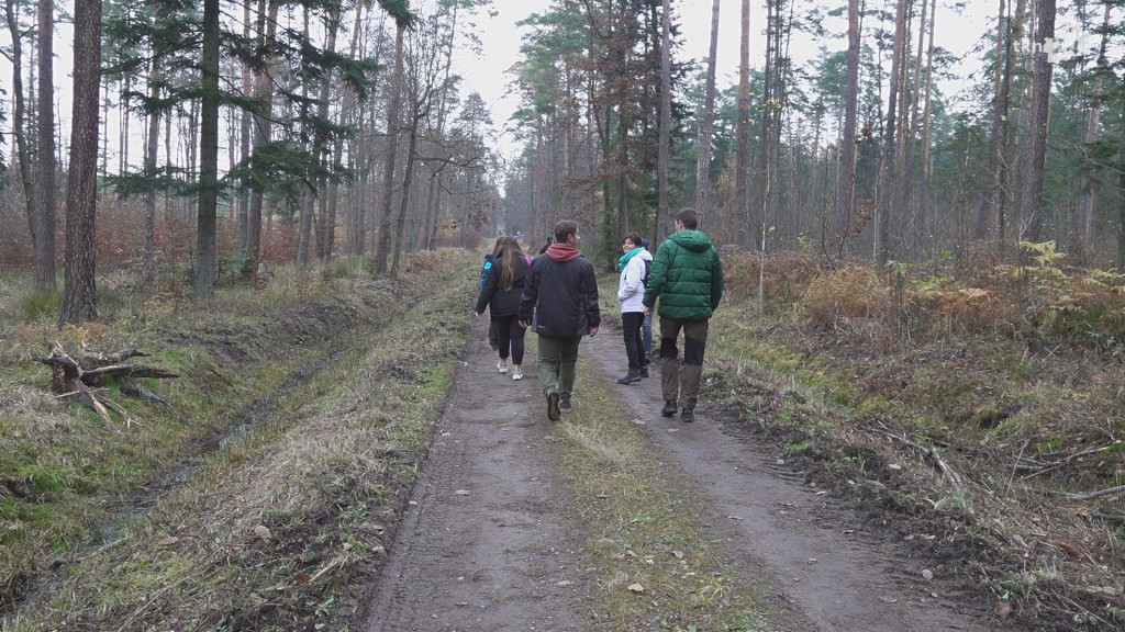 Poznawali Skałki Niekłańskie. Tradycja Niekłaniady podtrzymana! [wideo, zdjęcia]