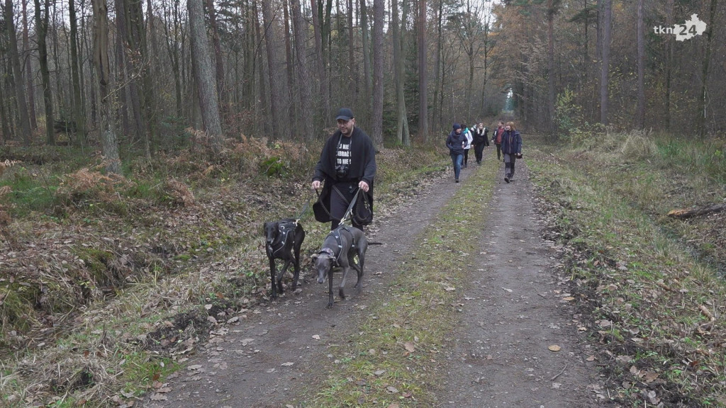 Poznawali Skałki Niekłańskie. Tradycja Niekłaniady podtrzymana! [wideo, zdjęcia]