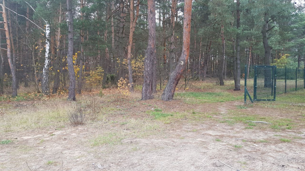 Powstaną świetlice w Trzemosznej i Młynku Nieświńskim [wideo, zdjęcia]
