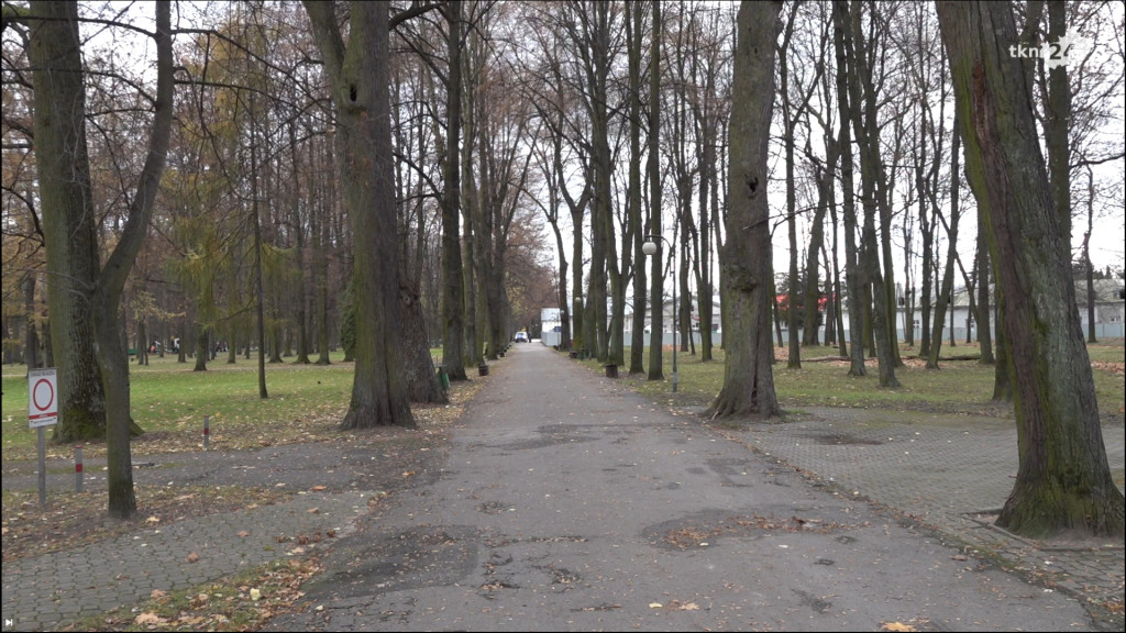 Są chętni do rewitalizacji Parku Miejskiego. Wraca temat budowy Muzeum Ziemi Koneckiej [wideo, zdjęcia]