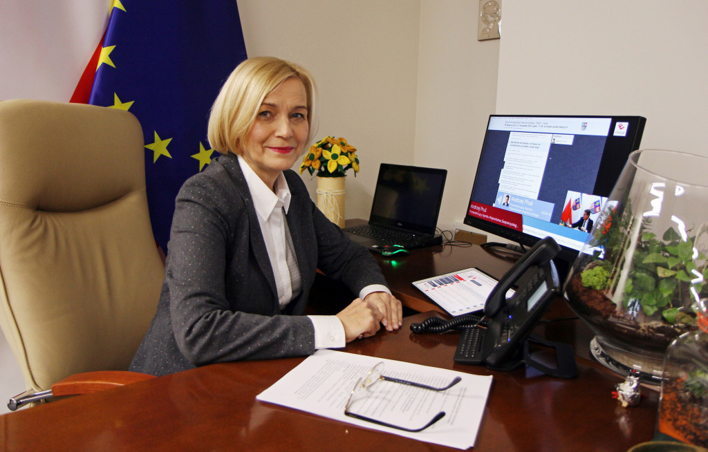 Sejmik tym razem w trybie zdalnym. Było o organizacjach pozarządowych i Parkach Krajobrazowych