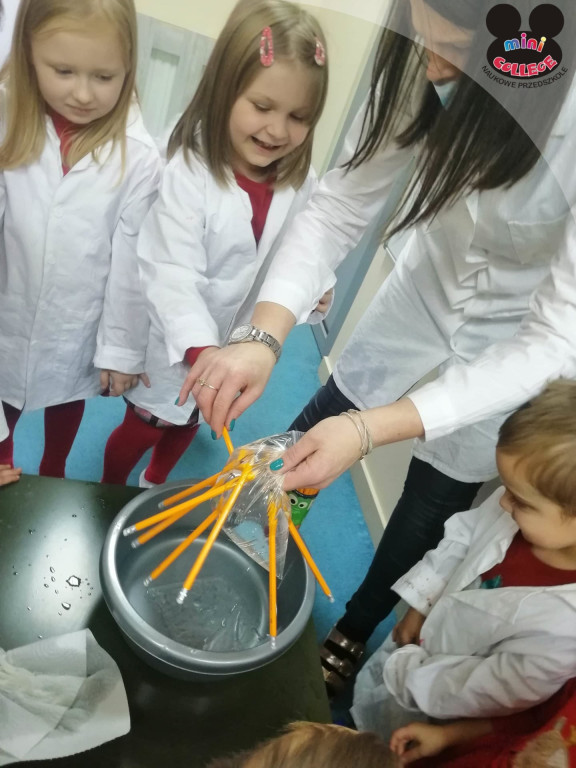 Przedszkole Mini College z czesnym 0 zł! [WIDEO, zdjęcia]