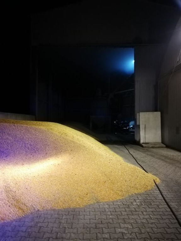 Pożar kukurydzy w suszarni zboża w Hucisku [zdjęcia]