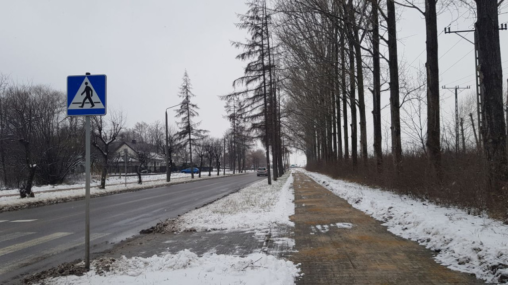 Czy gałęzie drzew przy ulicy Staszica zagrażają bezpieczeństwu? Pytamy zarządcę drogi [zdjęcia]
