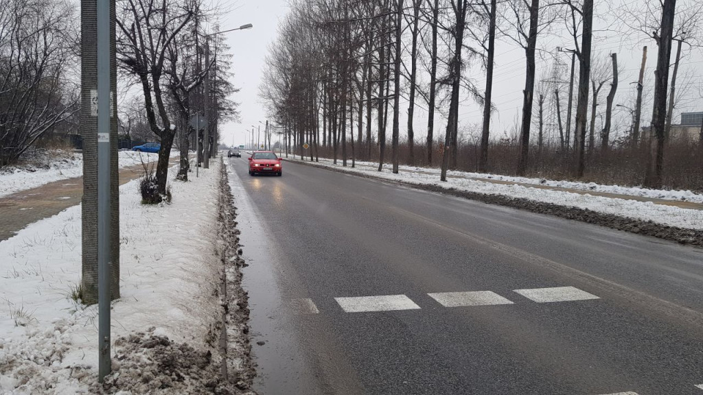 Czy gałęzie drzew przy ulicy Staszica zagrażają bezpieczeństwu? Pytamy zarządcę drogi [zdjęcia]