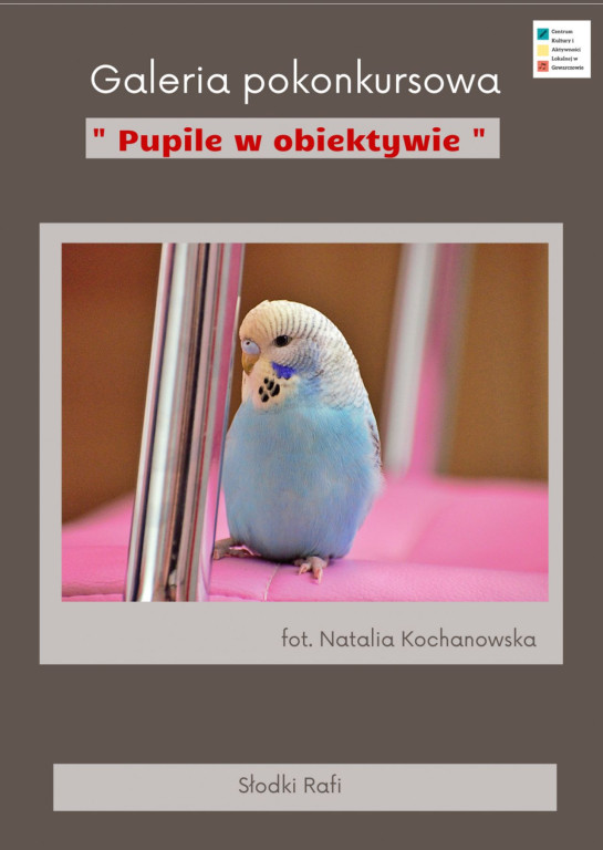 Patrycja Kochanowska autorką najlepszego zdjęcia w konkursie CKiAL Gowarczów [fotogaleria]