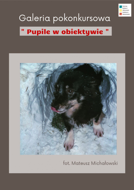 Patrycja Kochanowska autorką najlepszego zdjęcia w konkursie CKiAL Gowarczów [fotogaleria]