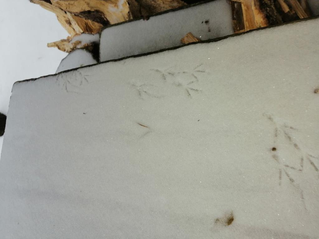 Konkurs `Szukamy zimy` zakończony. Zobaczcie wszystkie nadesłane prace