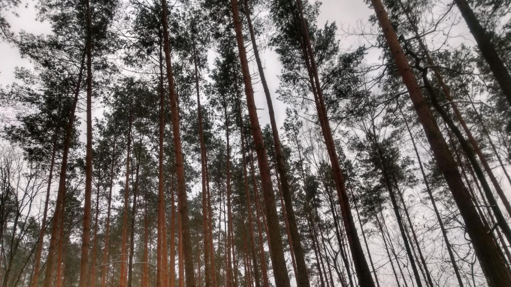 Konkurs `Szukamy zimy` zakończony. Zobaczcie wszystkie nadesłane prace
