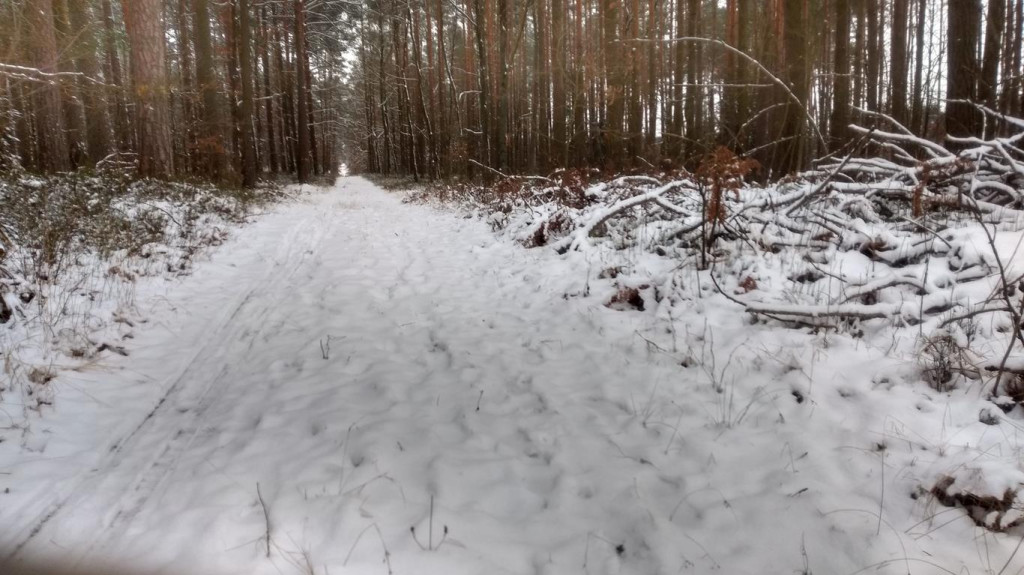 Konkurs `Szukamy zimy` zakończony. Zobaczcie wszystkie nadesłane prace