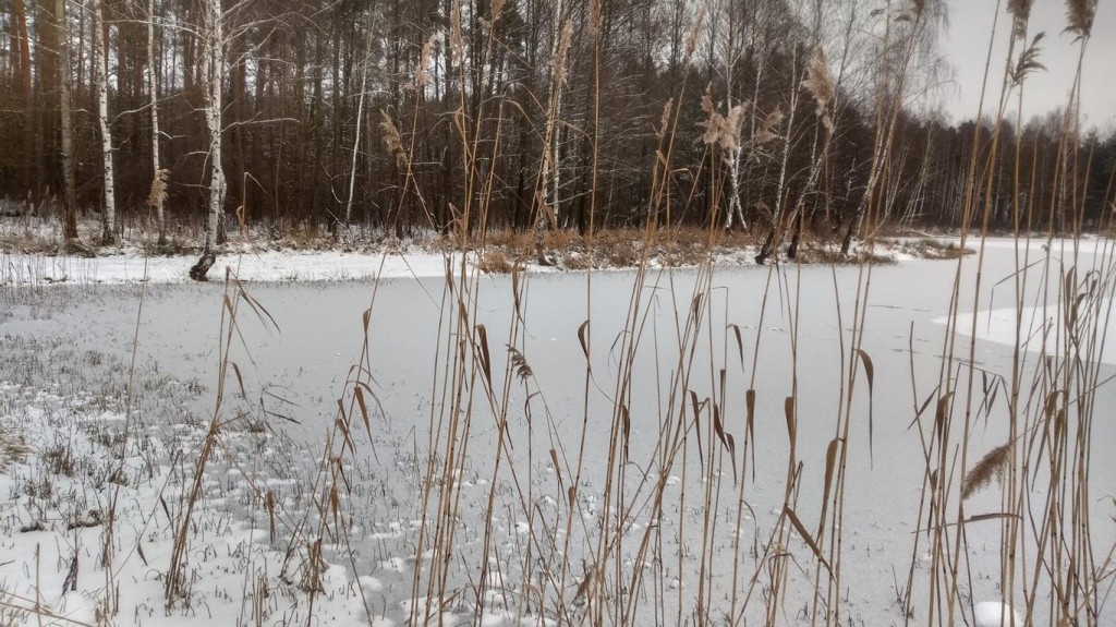 Konkurs `Szukamy zimy` zakończony. Zobaczcie wszystkie nadesłane prace