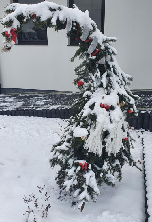 Konkurs `Szukamy zimy` zakończony. Zobaczcie wszystkie nadesłane prace