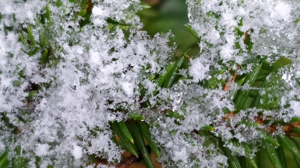 Konkurs `Szukamy zimy` zakończony. Zobaczcie wszystkie nadesłane prace