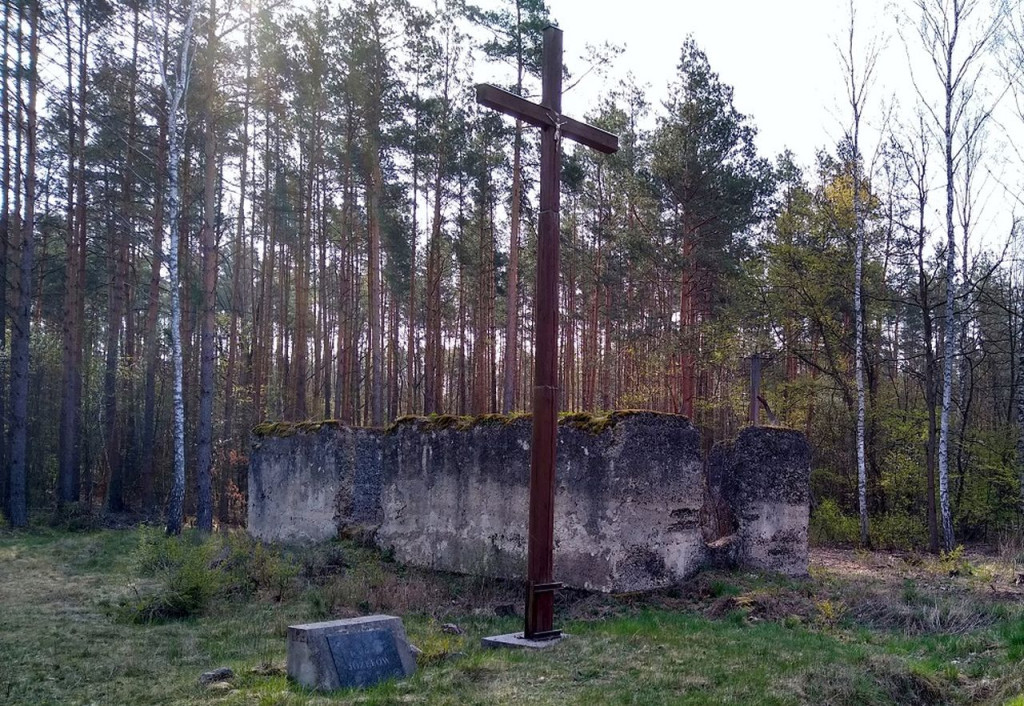 Pojawiły się wilki w powiecie koneckim [zdjęcia]