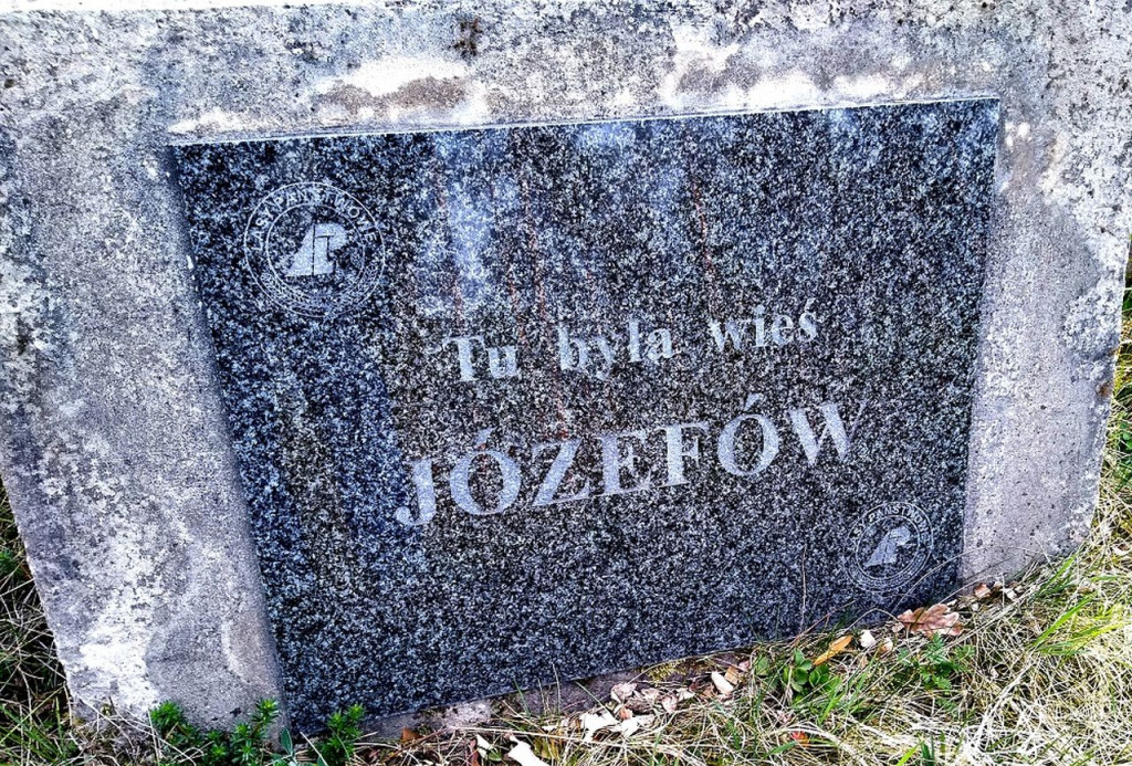 Pojawiły się wilki w powiecie koneckim [zdjęcia]