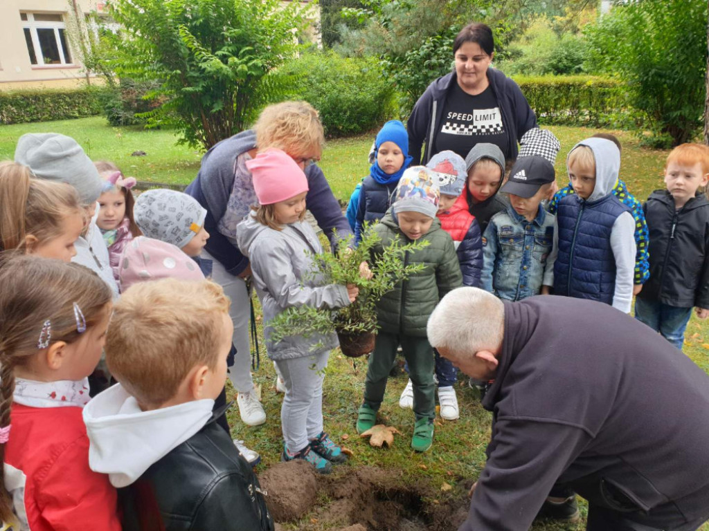 Przedszkole nr 2. Otoczone parkiem i Ogródkiem Jordanowskim [WIDEO, zdjęcia]