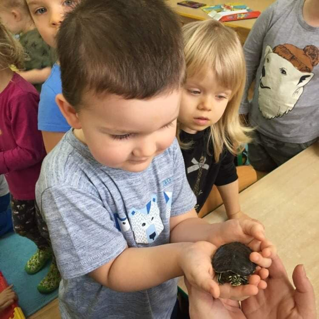 Klimatyczne, rodzinne Przedszkole nr 6 zaprasza w swoje progi! [zdjęcia]