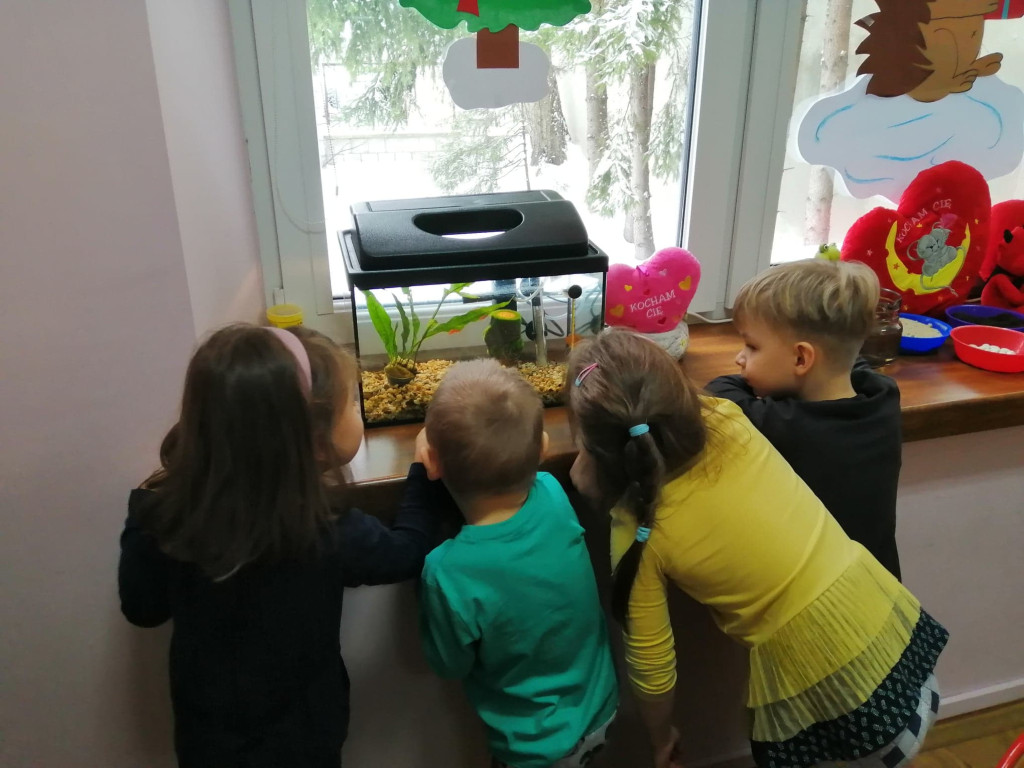 Klimatyczne, rodzinne Przedszkole nr 6 zaprasza w swoje progi! [zdjęcia]