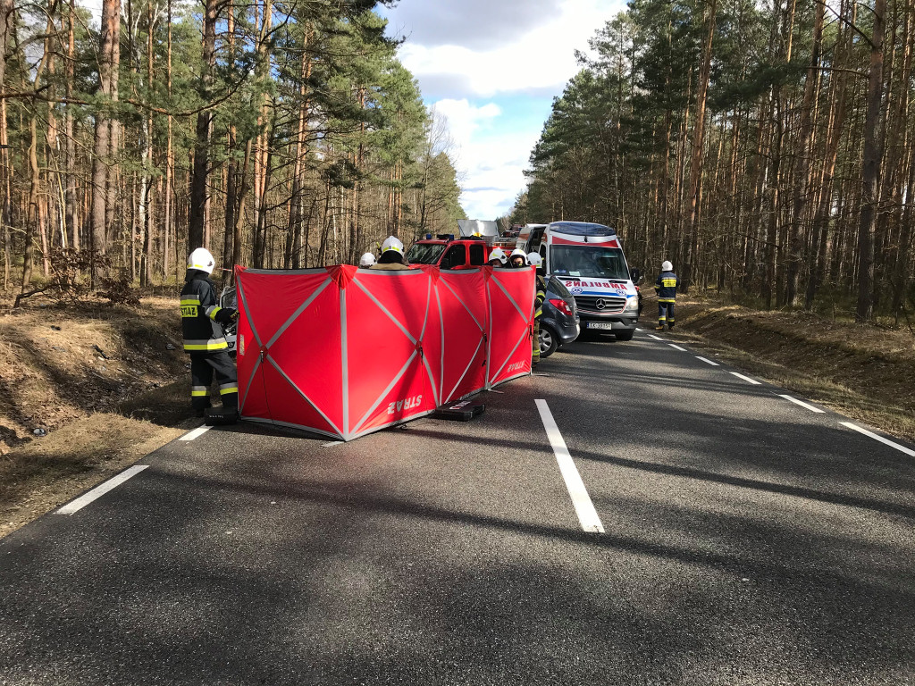 Śmiertelny wypadek na DK 42 między Kazanowem a Dębą [wideo, zdjęcia]