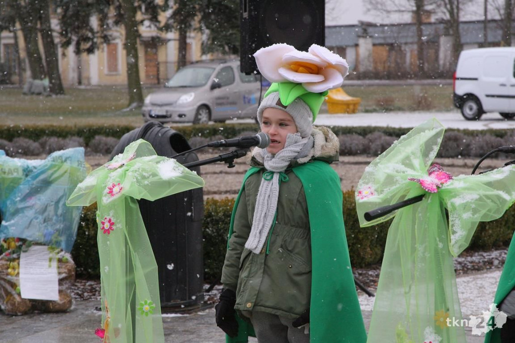 Koneckie przedszkolaki przepędziły zimę! [wideo, zdjęcia]