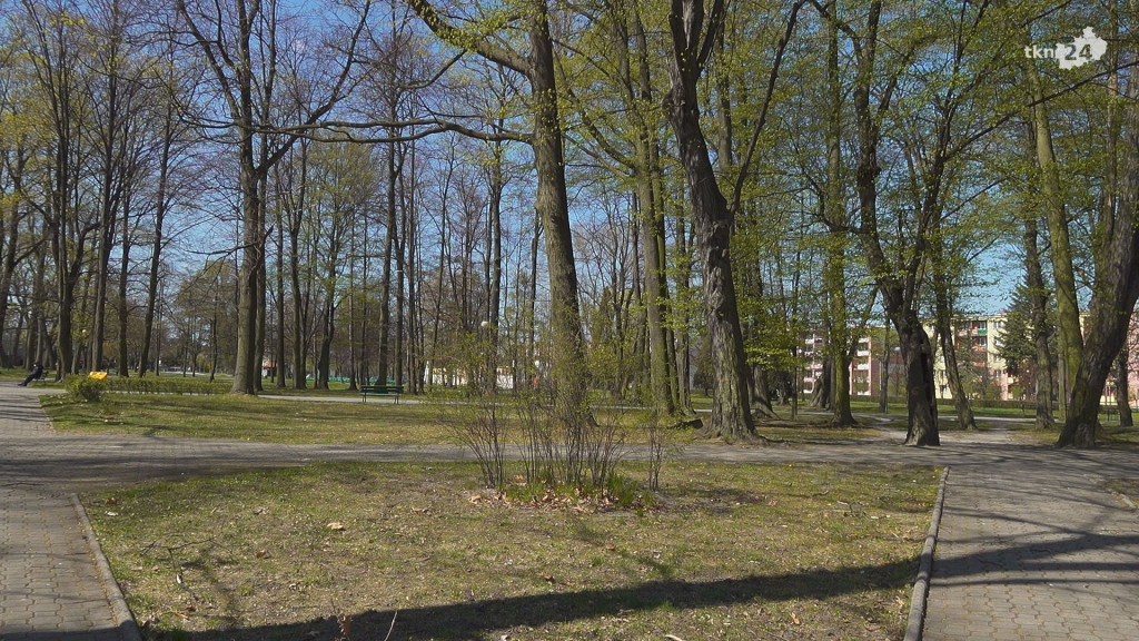 Końskie: Wiemy jak ma wyglądać Park Miejski po rewitalizacji [wideo]