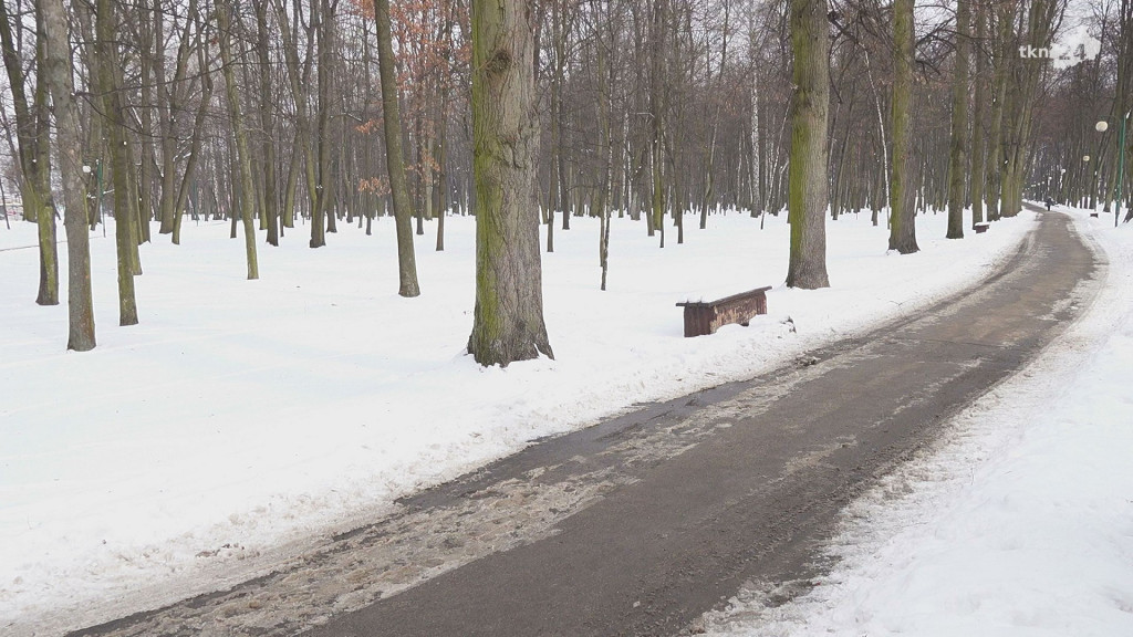 Końskie: Wiemy jak ma wyglądać Park Miejski po rewitalizacji [wideo]