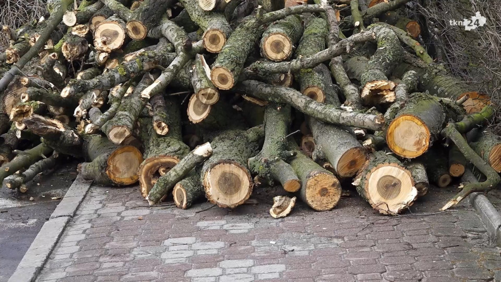 Ruszyła rewitalizacja rynku. Na start kontrowersje [wideo, zdjęcia]