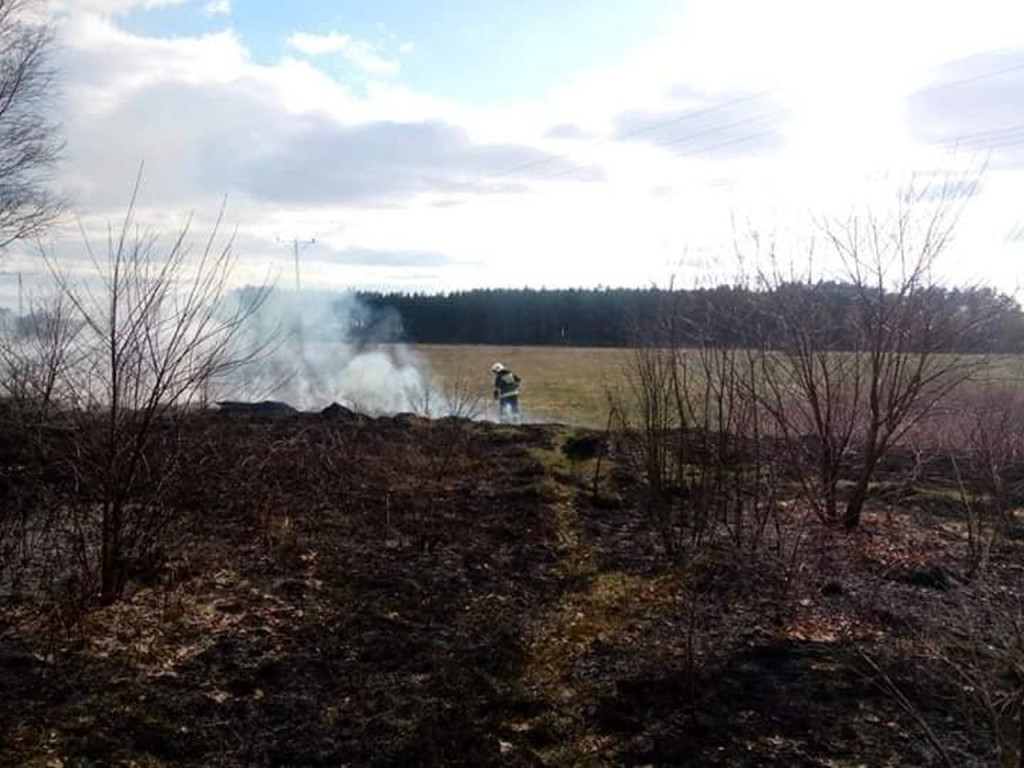 Znowu pożary traw. Już 55 interwencji w ostatnich tygodniach [zdjęcia]
