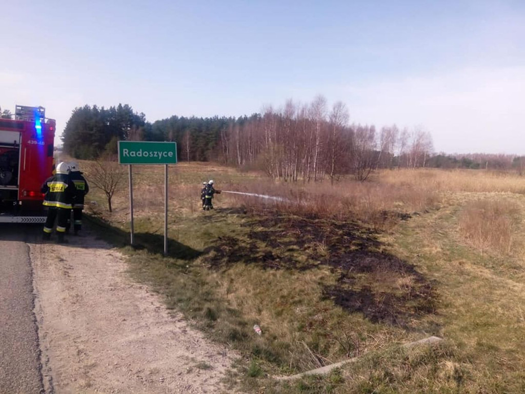 Znowu pożary traw. Już 55 interwencji w ostatnich tygodniach [zdjęcia]