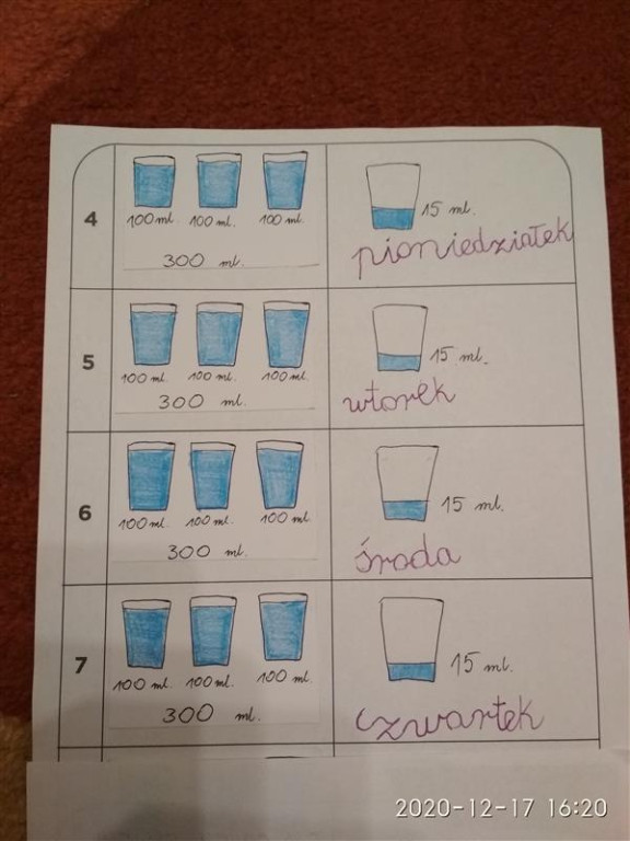 Szkoła z Radoszyc wzięła udział w ogólnopolskim programie edukacyjnym [zdjęcia]