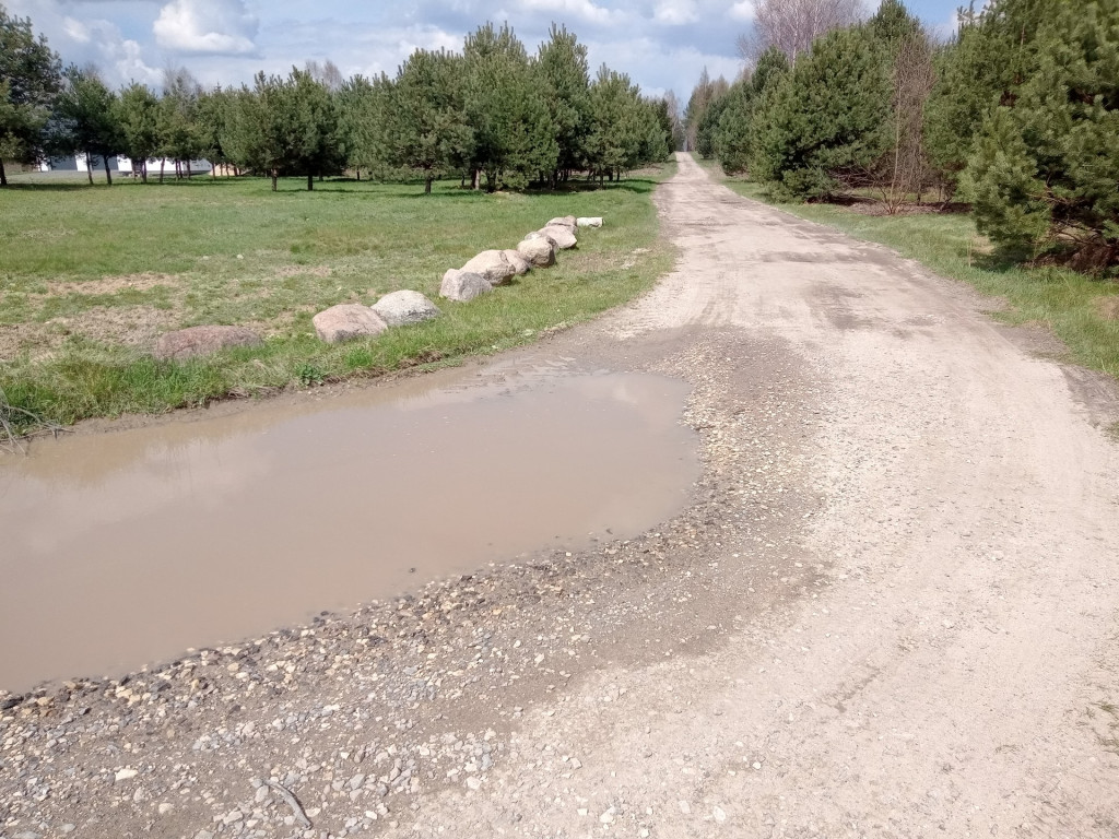 Gmina Końskie i Lasy Państwowe wyremontują drogę w Wincentowie [wideo, zdjęcia]