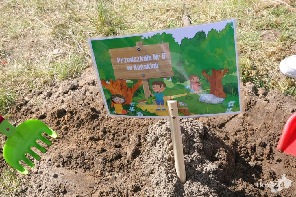 Kasztanowce i śliwy ozdobią `Browary`. Specjalna akcja UMiG i przedszkoli [wideo, zdjęcia]