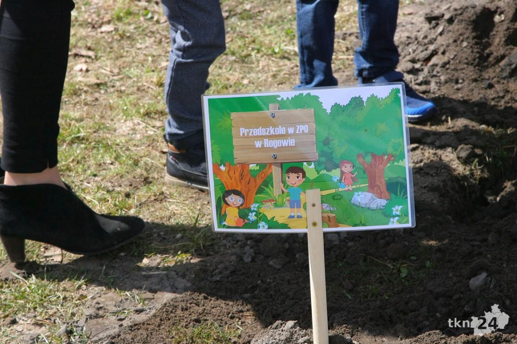 Kasztanowce i śliwy ozdobią `Browary`. Specjalna akcja UMiG i przedszkoli [wideo, zdjęcia]