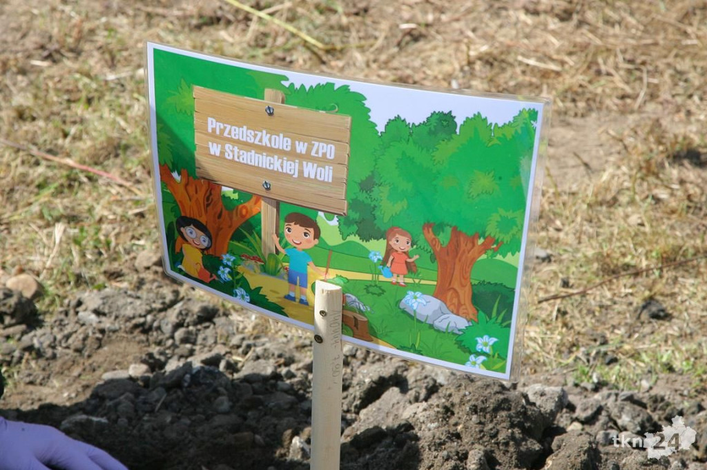 Kasztanowce i śliwy ozdobią `Browary`. Specjalna akcja UMiG i przedszkoli [wideo, zdjęcia]