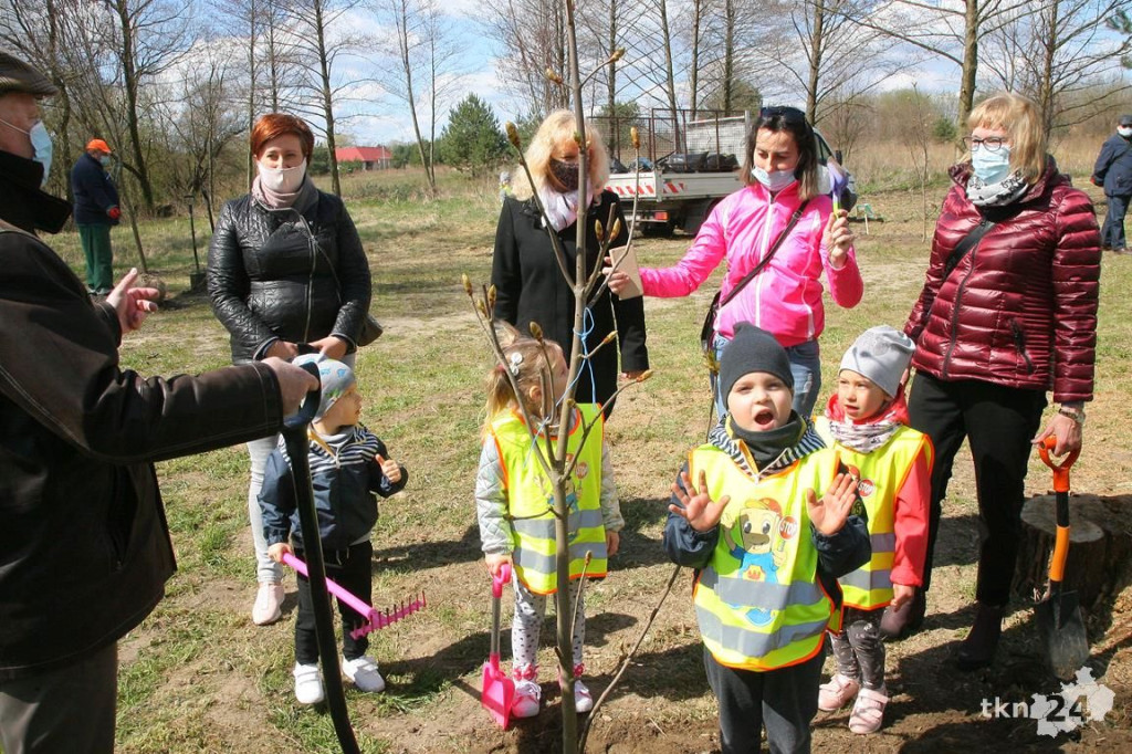 Kasztanowce i śliwy ozdobią `Browary`. Specjalna akcja UMiG i przedszkoli [wideo, zdjęcia]