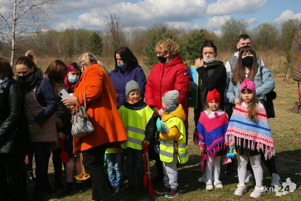 Kasztanowce i śliwy ozdobią `Browary`. Specjalna akcja UMiG i przedszkoli [wideo, zdjęcia]